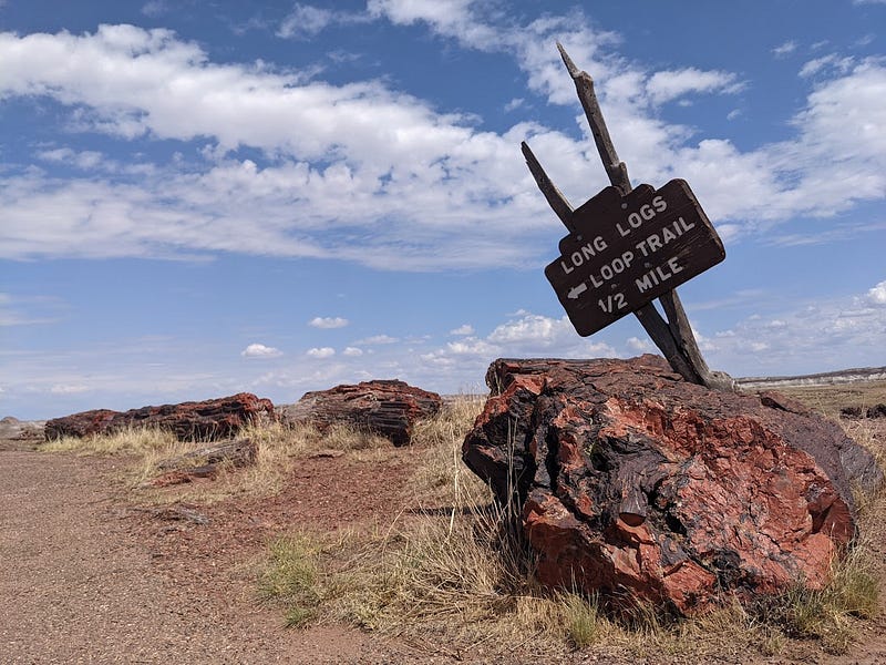 Photo of Petrified Forest National Park