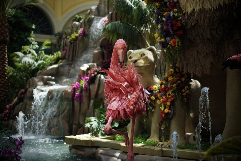 Captivating botanical displays at the Bellagio