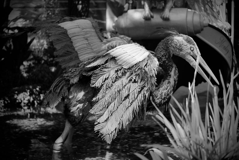 Lifelike bird decorations in the conservatory