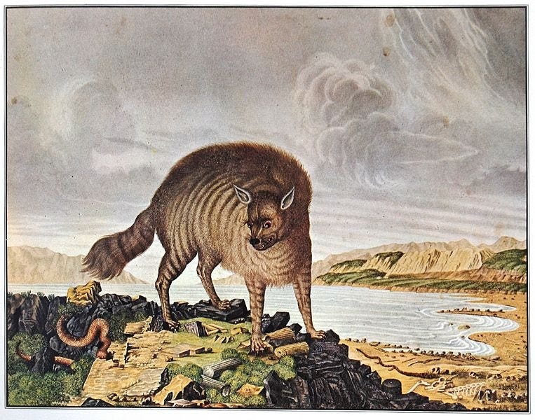 Watercolor painting from Aloys Zötl's Bestiarium