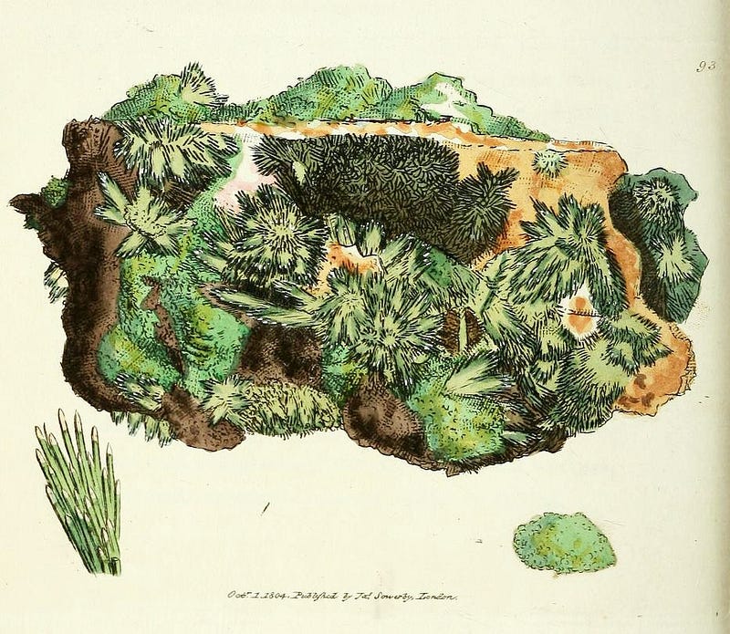 Mineral illustration by James Sowerby