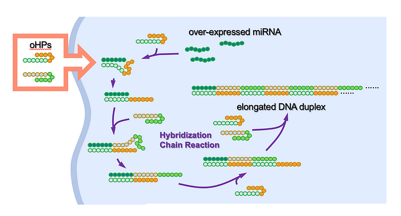 Diagram showing oncolytic DNA interaction with cancer cells