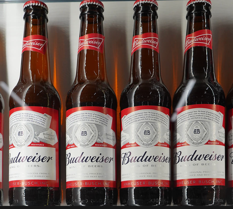 Budweiser, a classic American lager