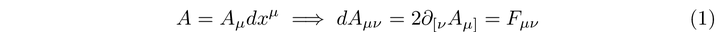 Components of the gauge potential represented as forms.