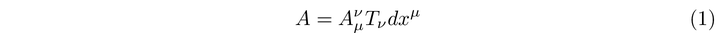 Illustration of the Yang-Mills gauge potential.