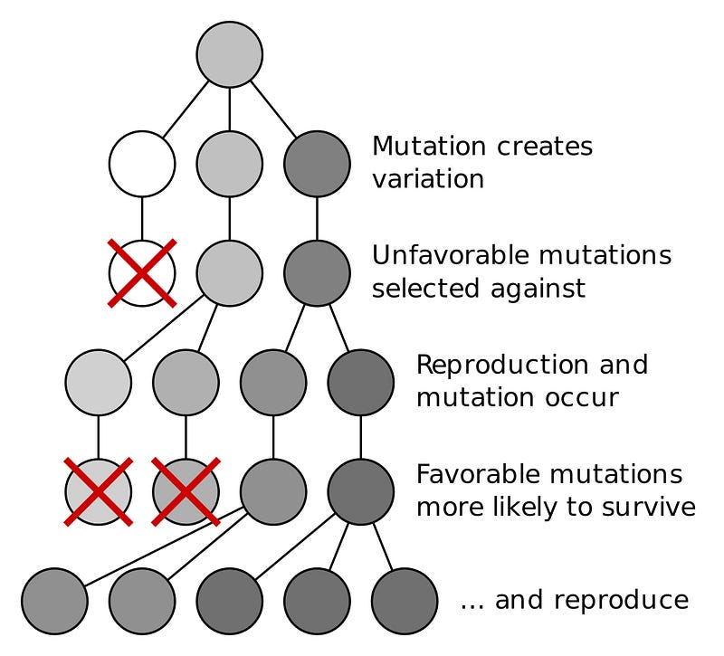 Natural selection illustrated through an experiment