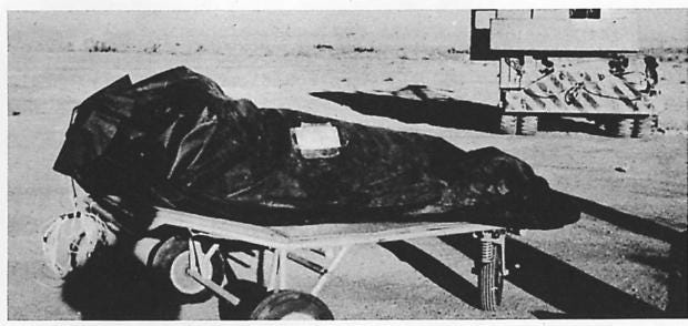 An image depicting a body bag