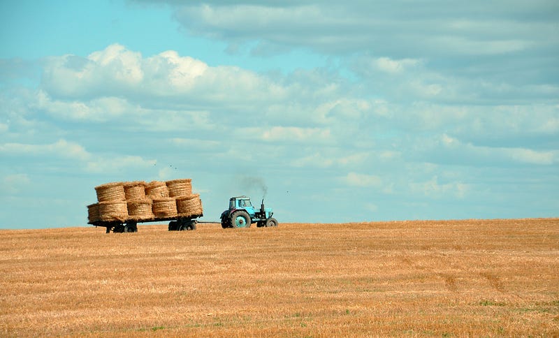 AI technology in agriculture