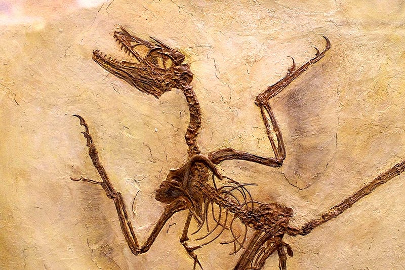 Microraptor in its habitat