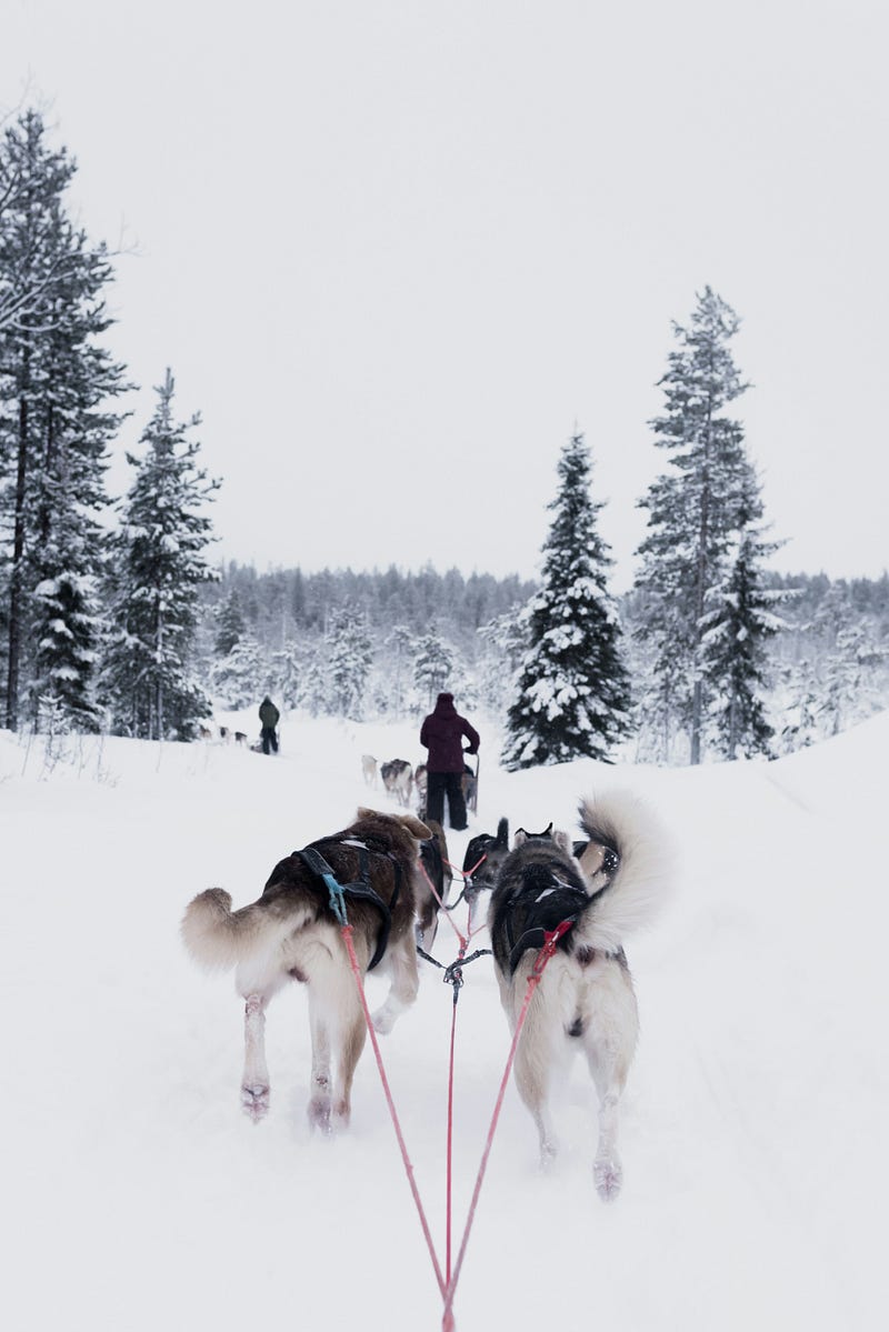 Finland’s Inari municipality, a hub for sustainable practices