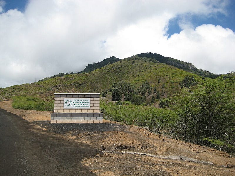 Lush cloud forest on Green Mountain