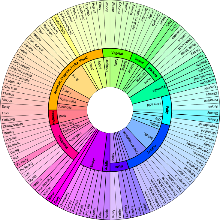 Beer Flavor Wheel Overview