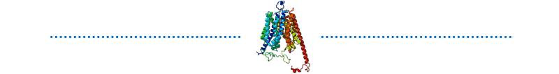 Collaboration in biotechnology innovation