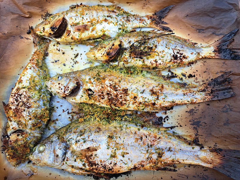 Freshly grilled fish caught by my father