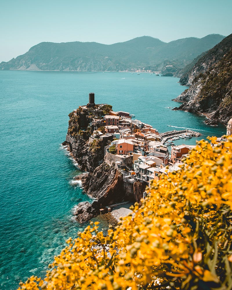 Traveler overlooking a scenic view