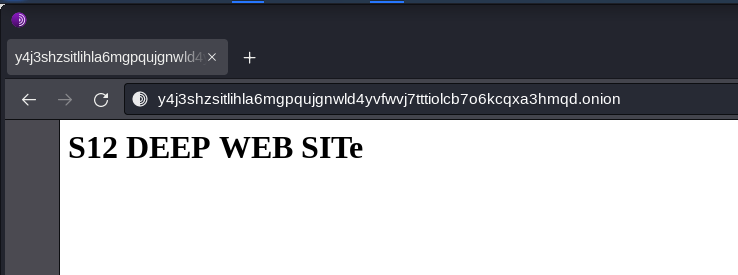 Accessing the created webpage through Tor