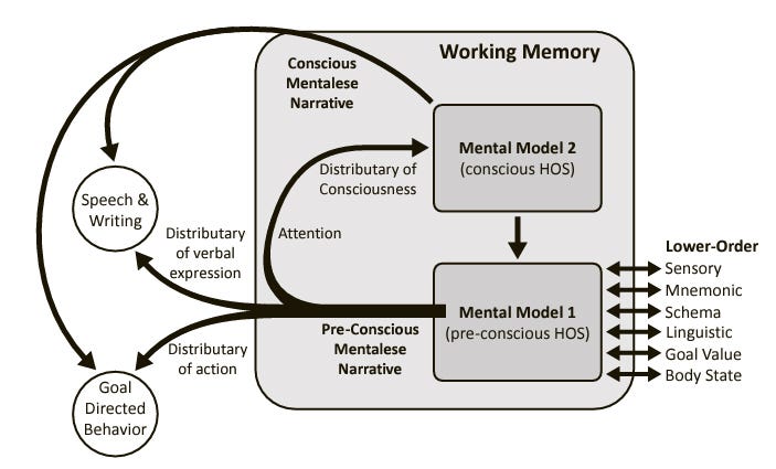 A graphic illustrating the relationship between brain structure and consciousness.