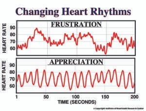 Heart Rate Variability Comparison