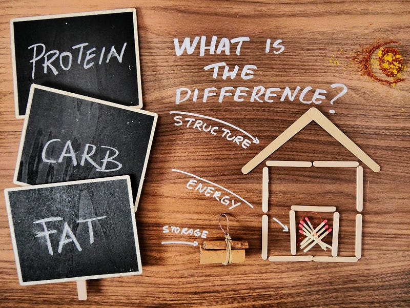 A detailed visual representation of proteins and their functions.