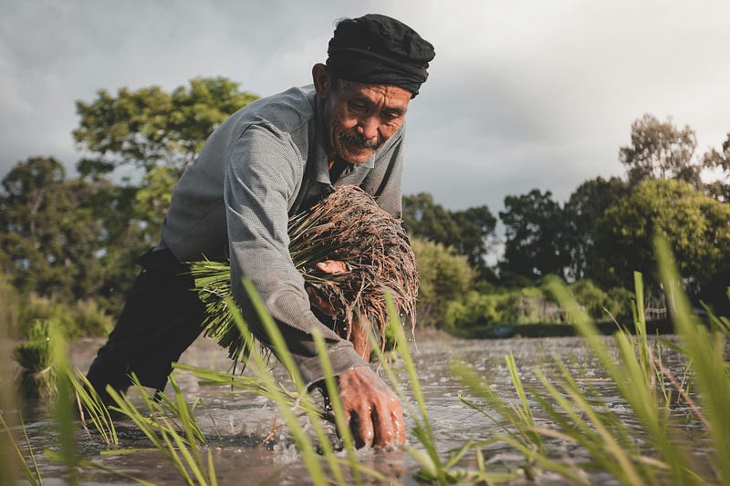 Farmer mental health crisis